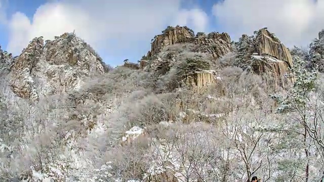 大墩山的雪景视频素材