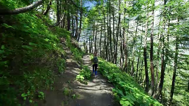 女性徒步旅行者穿过森林视频素材