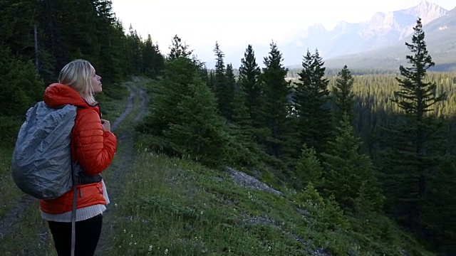 女性徒步旅行者走过日出穿过森林，清晨视频素材