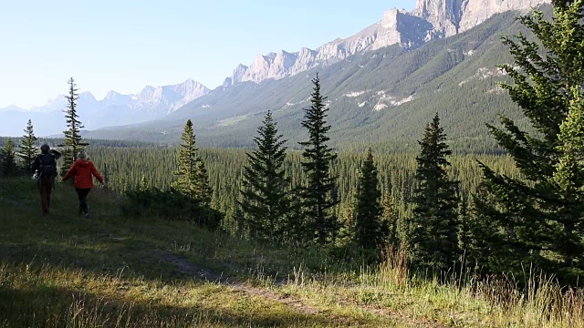 清晨，一对徒步情侣沿着山路散步视频素材