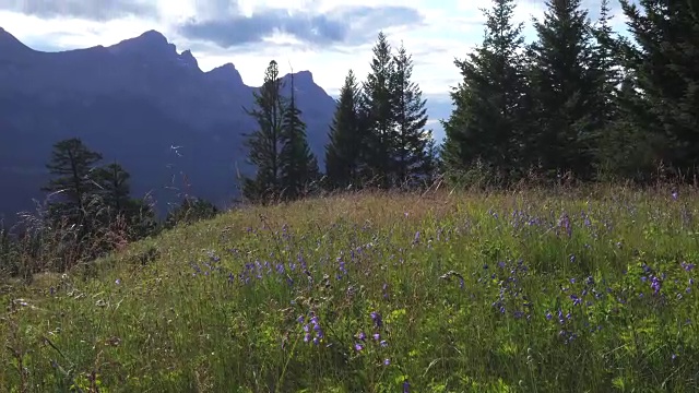 向上倾斜，穿过山地草地，到达遥远的山脉视频素材