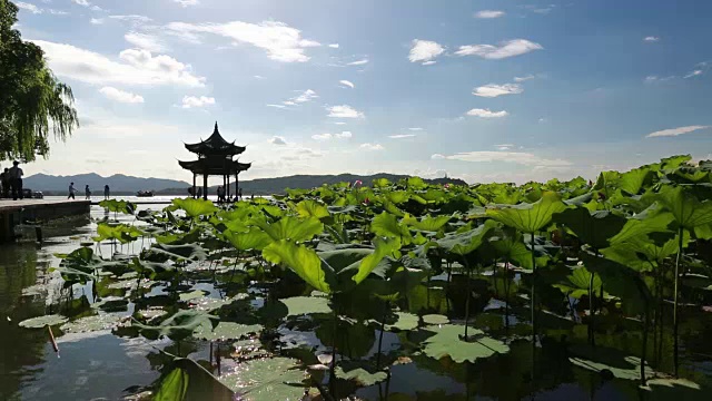 在中国杭州，夏天的蓝天映衬下，西湖上的亭子视频素材