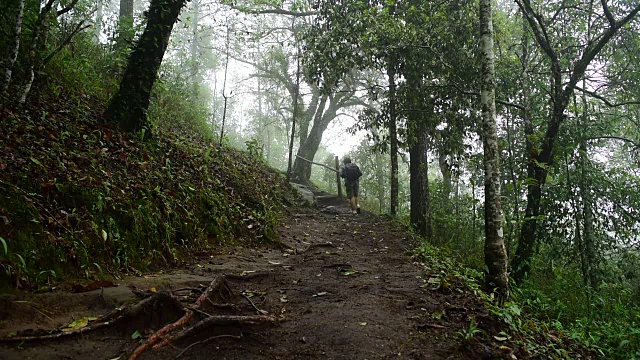 一名徒步旅行者正在热带雨林中行走视频素材