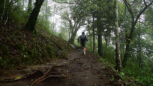 一名徒步旅行者在热带雨林中奔跑视频素材