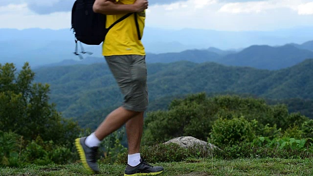 一名徒步旅行者正在热带雨林中行走视频素材