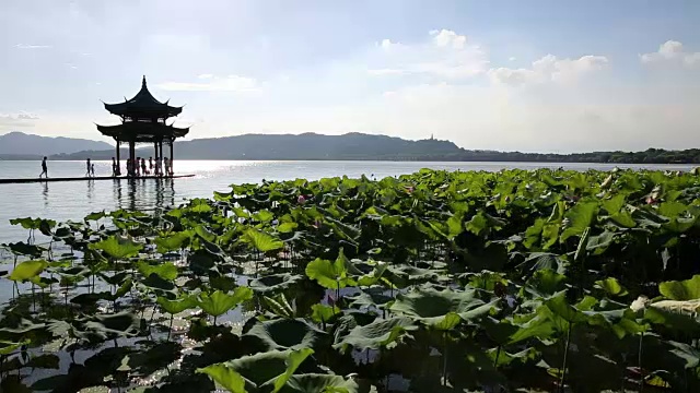 中国杭州西湖上的亭子和荷花田视频素材