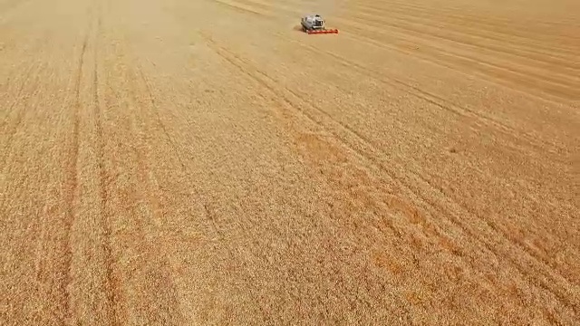 夏季麦田的收获视频素材