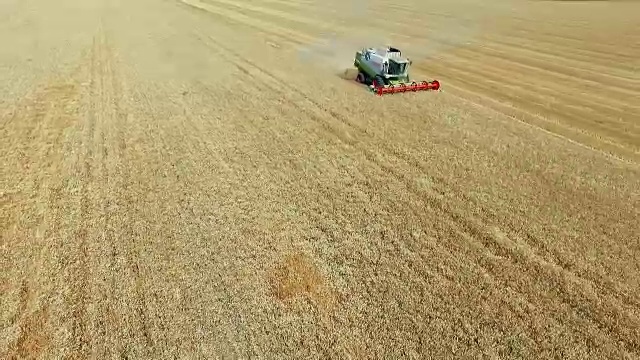 夏季麦田的收获视频素材