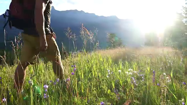 男性徒步旅行者穿过高山草甸，走向遥远的山脉视频素材