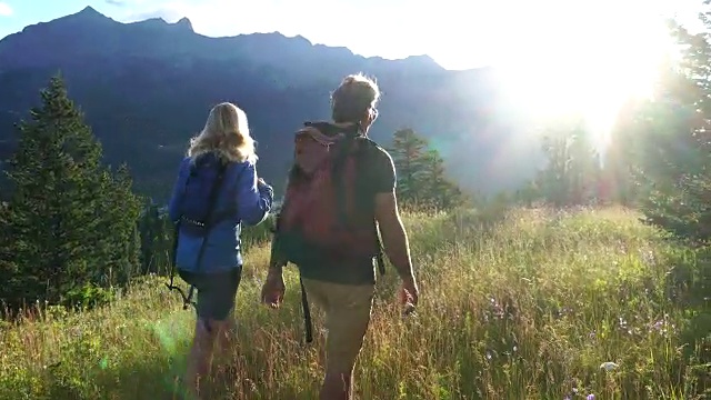 徒步旅行的夫妇穿过高山草地，走向远方的山脉视频素材