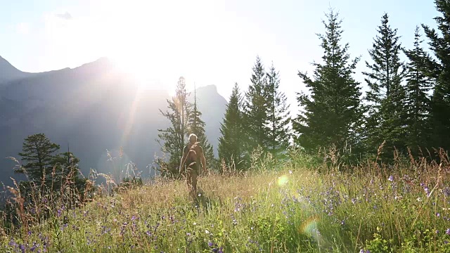 男性徒步旅行者穿过高山草甸，走向遥远的山脉视频素材