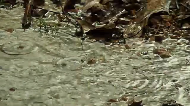 地球上下雨。视频素材