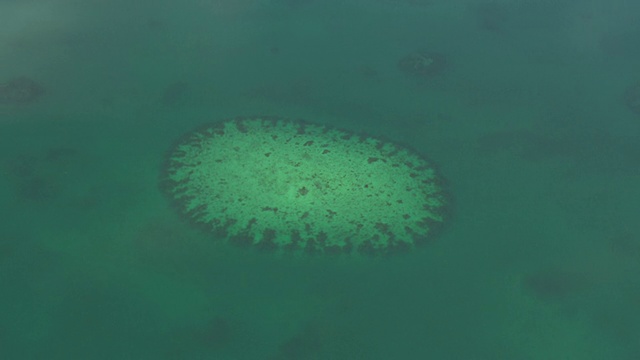 所罗门群岛浅海中的珊瑚山视频素材