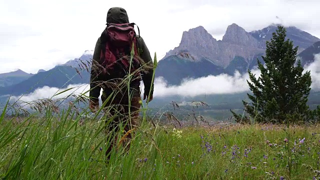 一名男性徒步旅行者在雨后走进草地，眺望群山视频素材