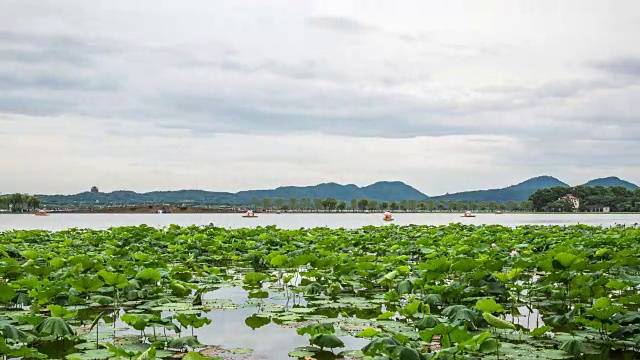 西湖夏日美景，杭州，中国视频素材