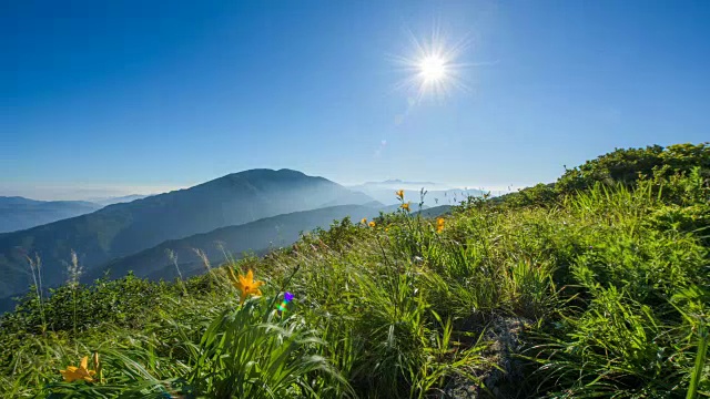 阳光明媚的日子里，微风吹在基里山国家公园(韩国著名旅游景点)的草地上，草地上有几朵黄花视频素材