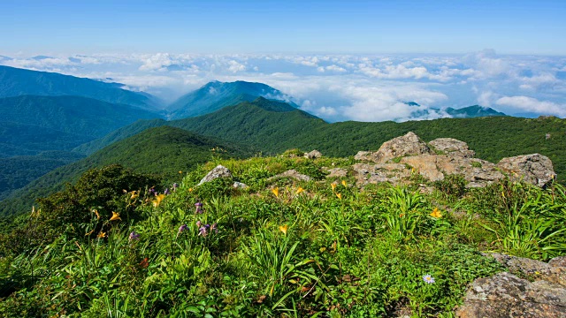 在韩国著名的旅游景点千里山国家公园里，微风吹在绿色植物上，很少有黄色的花，背景是云视频素材