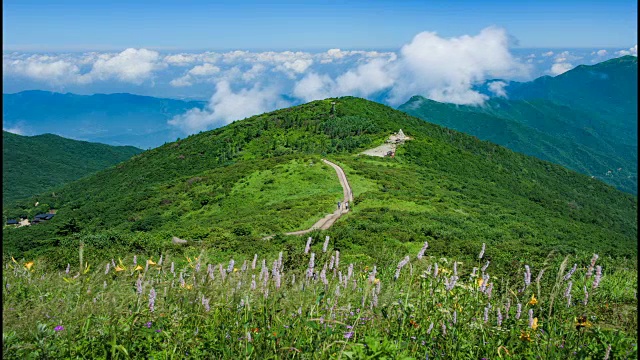 奇里山国家公园(韩国著名旅游景点)的草地上吹着微风的延时拍摄视频素材