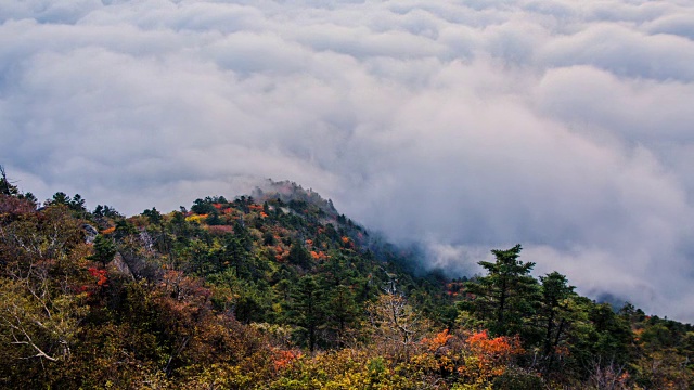 秋日，云海在天望峰(chitisan的第二高峰，它是著名的日出观测点)上流动视频素材