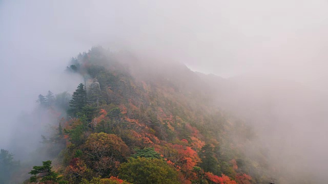 秋日，在天望峰(chitisan的第二高峰，它是著名的日出观测点)上的云海流动视频素材