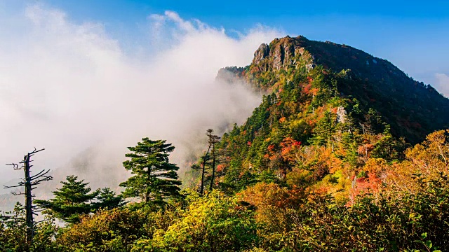 秋日的天望峰(chitisan的第二高峰，它是著名的日出观测点)周围的云海视频素材