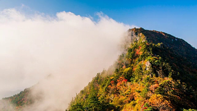 秋日，在天望峰(chitisan的第二高峰，它是著名的日出观测点)上的云海流动视频素材