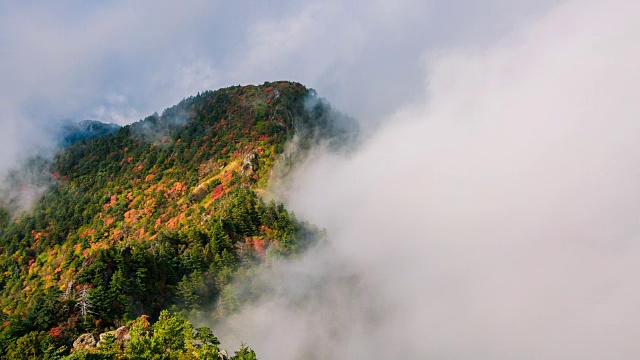 秋日的天望峰(chitisan的第二高峰，它是著名的日出观测点)周围的云海视频素材