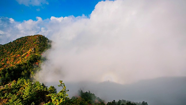 秋日，在天望峰(chitisan的第二高峰，它是著名的日出观测点)上的密集云海流动视频素材