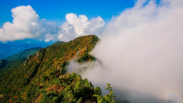 秋日，在天望峰(chitisan的第二高峰，它是著名的日出观测点)上的密集云海流动视频素材