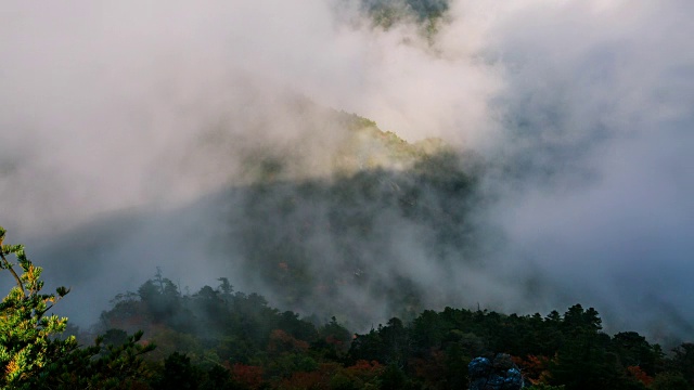 秋日，在天望峰(chitisan的第二高峰，它是著名的日出观测点)上的密集云海流动视频素材