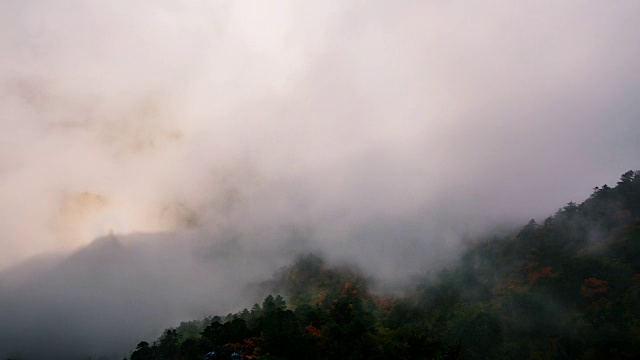 秋日，在天望峰(chitisan的第二高峰，它是著名的日出观测点)上的密集云海流动视频素材