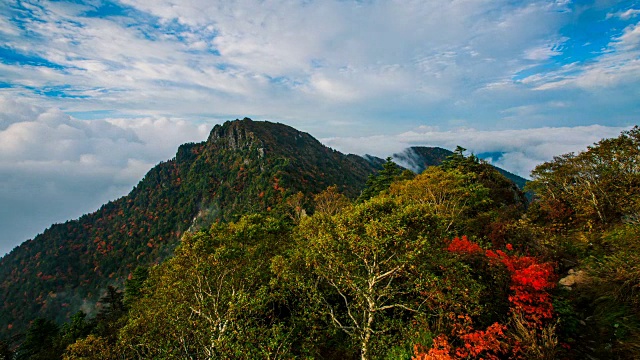 秋日的天望峰(chitisan的第二高峰，它是著名的日出观测点)周围的云海视频素材