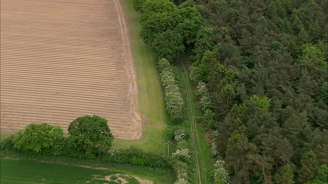 pedars Way (Just East Of Swaffham)的用法和样例:视频素材