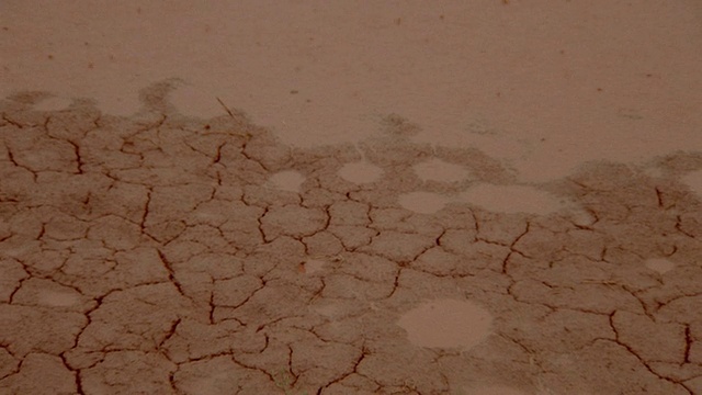 高角度近距离观察PAN在红色裂缝的泥土+雨水下落的泥泞水坑/峡谷地Natl。公园视频素材