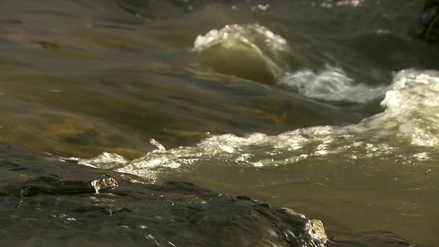 水从岩石上流过。视频素材