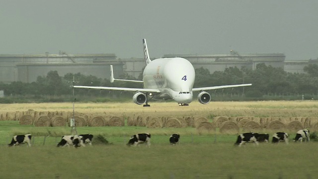 “白鲸”空中客车起飞视频素材