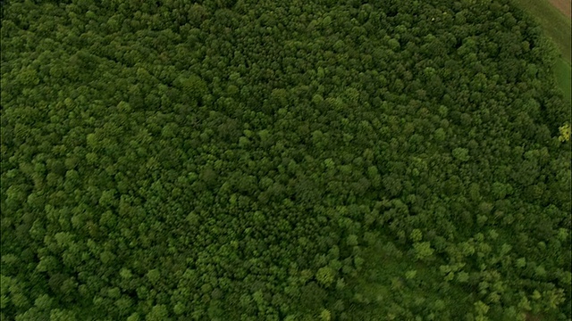 飞越小山上的小房子视频素材