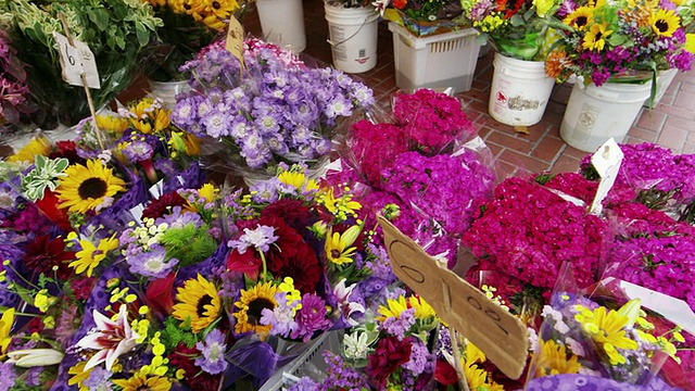 旧金山花卉市场视频素材