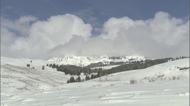 雪山，黄石，怀俄明州，美国视频素材