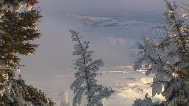 美国黄石公园，温泉的蒸汽在白雪覆盖的树林中飘浮视频素材