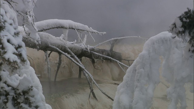 美国黄石公园，温泉的蒸汽在冰雪森林中飘浮视频素材