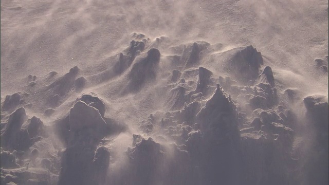 冰晶吹过雪地，黄石公园，美国视频素材