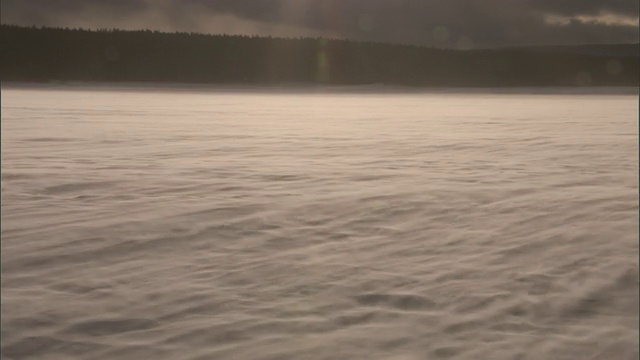 冰晶吹过雪地，黄石公园，美国视频素材