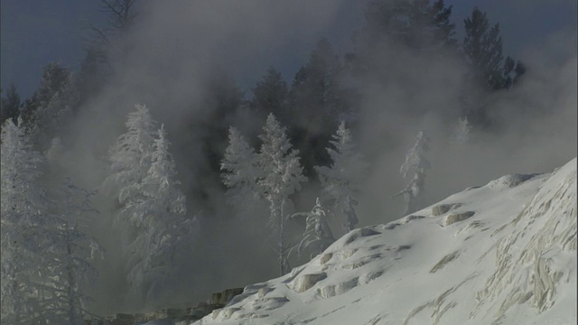 美国黄石公园，温泉的蒸汽在白雪覆盖的树林中飘浮视频素材