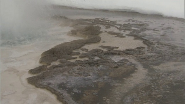 美国黄石公园的水池里有积雪和喷涌的间歇泉视频素材