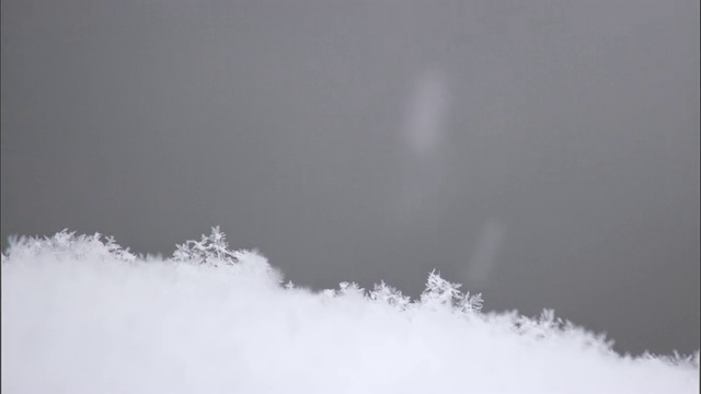 美国黄石公园，雪花飘落在雪地上视频素材