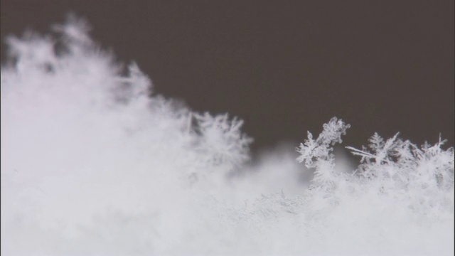 美国黄石公园，雪花飘落在雪地上视频素材