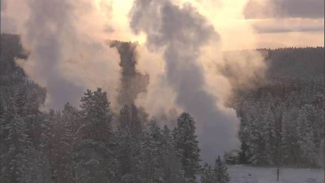 美国黄石公园，温泉的蒸汽从积雪的森林中升起视频素材