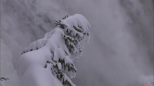 部分冻结的瀑布在雪林，黄石，美国视频素材