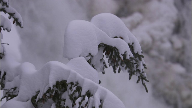 部分冻结的瀑布在雪林，黄石，美国视频素材